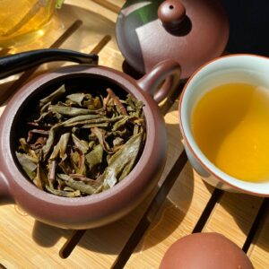 grandpa's flask huang pian sheng pu'er by hugo tea co tea review by the_tea_sensei 2